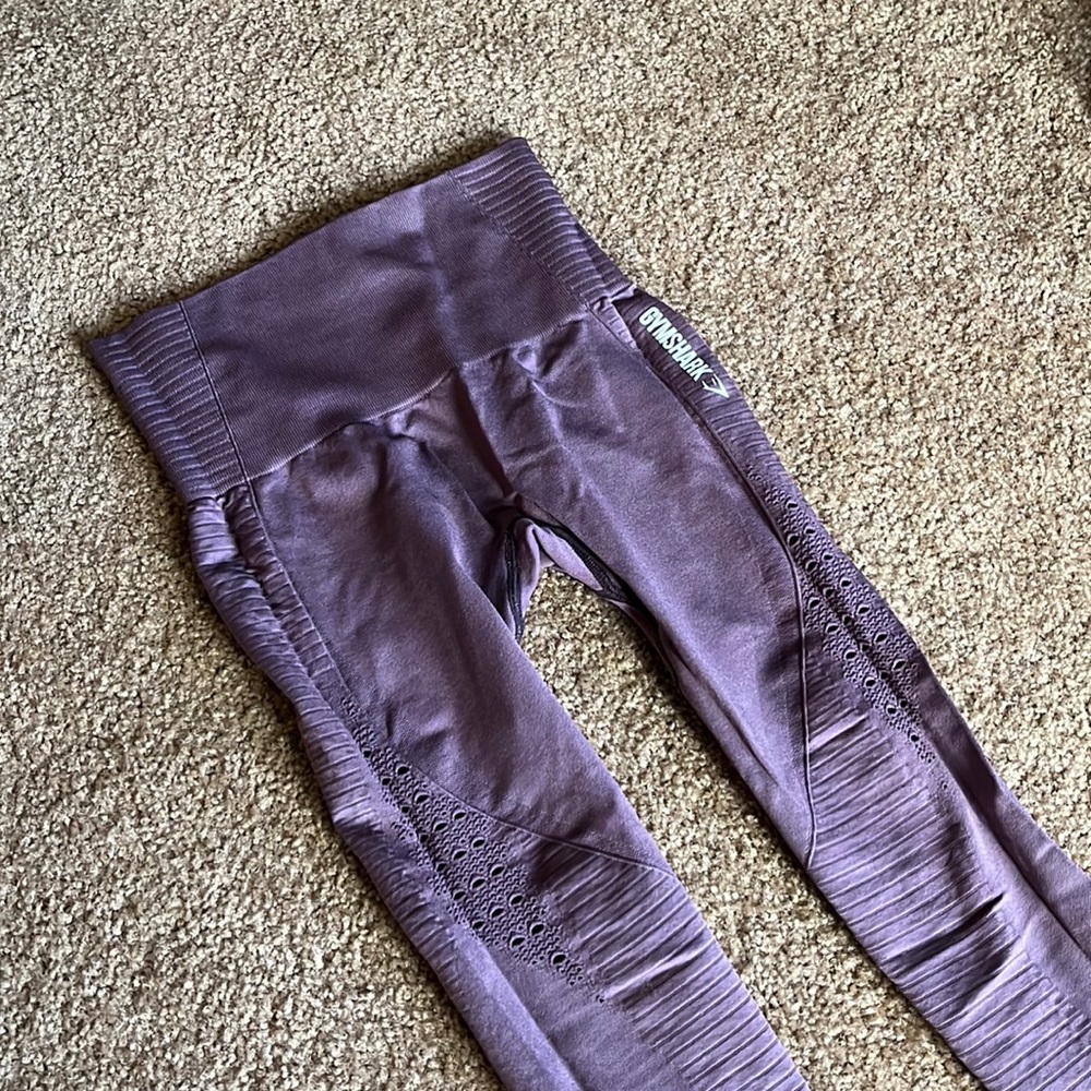 Gym shark leggings